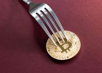 44 биткойн-вилки возникли в течение 10 месяцев, криптоинвесторы не убеждены