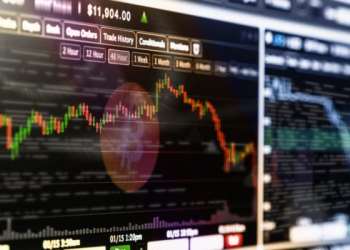 Институт экономических исследований: биткойн менее изменчивый, чем другие крипто, знак зрелости