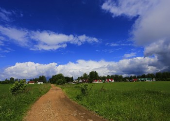 Российский банкир оказался «фермер-анархистом» превратившим картофель в криптовалюту