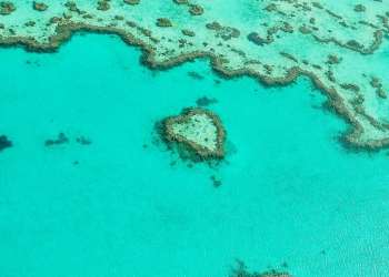 Крипто приносит пользу в размере 8.3 миллиона долларов инновационного фонда Австралии в Квинсленде