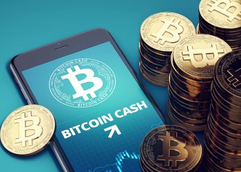 «Биткоин Иисус» Роджер Вер все еще пытается довести Bitcoin Cash вперёд