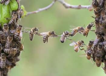 Генеральный директор Coinbase хочет управлять ожиданиями биткоинов