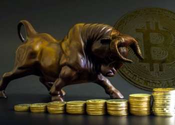 «Крипто-король»: отказ Winklevoss ETF не был плохим для биткоинов