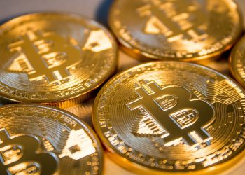 Биткоин – это «культ»? Бывший генеральный директор Paypal, похоже, так считает