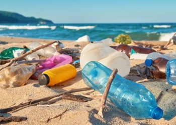 WEF: Блокчейн может помочь решить экологические проблемы планеты