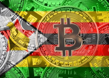Новый министр финансов Зимбабве выступает за государственную блок криптовалюты