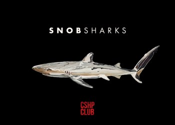 Основатели криптокомьюнити CryptoShark создают закрытый клуб для IT-неформалов