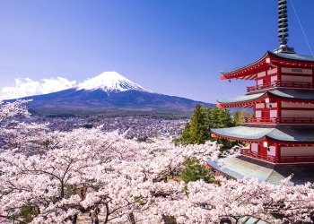 В Японии зафиксировали 6000 случаев отмывания денег через криптовалюты